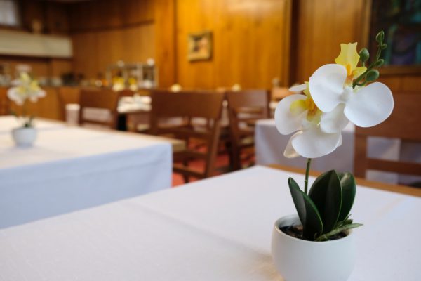 Breakfast Table with Flower – Start of the Day at Hotel Find Stuttgart